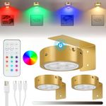 Lightsjoy 3 Pack Picture Lights for Wall Battery Operated Gold Picture Light Rechargeable Dimmable Timer Painting Frame Light Cordless Art Lights for Wall Led Puck Lights with Remote Control Gold RGB