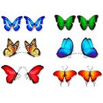 12 Pieces Butterfly Screen Door Magnets Decorative, Flexible Double Sided Screen Sticker, Magnetic Screen Door Protector Screen Window Decor for Screen Sliding Doors