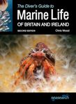 Marine Life