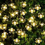 String Lights For Outdoor Landscapes