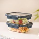 Nestasia Transparent Glass Lunch Box Set of 2 (640ml Each), Borosilicate, Microwave and Dishwasher Safe, Airtight and Leak-Proof Food Containers with Safety Lock, Lunch Boxes for Men and Women