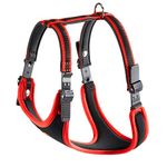 Ferplast Medium Size Dog Harness ERGOCOMFORT MEDIUM, Adjustable Dog Harness, Comfortable, Padded, Double Micro-adjustment Closure, Quick Release, Red