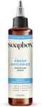 Soapbox Argan Oil Smoothing Serum, 