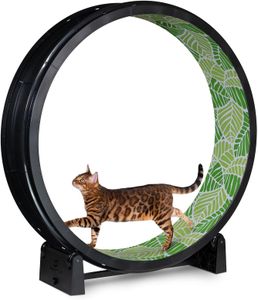 One Fast Cat Exercise Wheel 48" – Black Indoor Cat Treadmill