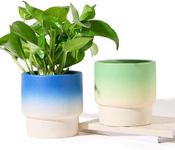 4 Inch Plant Pots Indoor with Drainage Holes Ceramic Planter Set of 2, Small Succulent Clay Planter Pots, Blue and Green Cute Flower Pots for Indoor Plants