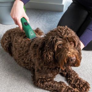 MASTERCLIP Cordless Dog Clipper – Rechargeable Pet Grooming Tool