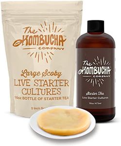 The Kombucha Company Large Kombucha Scoby & 16oz Bottle of Starter Tea l Makes One Gallon | Brew Kombucha from Home | Made From Purified Rainwater