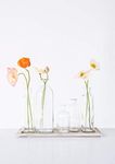 Creative Co-op DA2672 Wood Tray with Glass Bottle Vases