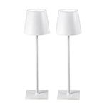 CHLORANTHUS 2 Pack Cordless Table L