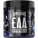 Warrior EAA - Essential Amino Acids - 360g - Provides Exceptional Support for Recovery & Muscle Soreness - Formula Includes Cyclic Dextrin, Taurine and More, Blue Raspberry