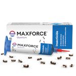 Maxforce Quantum Ant Killer Gel | Ant Control - Bait for Home & Kitchen | Ant Killer Gel | Long Lasting Ant Control | 30g