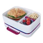 Rubbermaid LunchBlox Leak-Proof Entree Lunch Container Kit w/Case, Small, Beet Red (2000580), Plastic