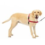 Easy Walk Harness Instructions