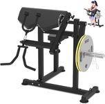 Bicep Tricep Curl Machine Preacher: Curl Bench 2 in 1 Arm Curl and Tricep Extension Machine for Home Gym Workout Black