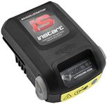Briggs & Stratton Starter Battery, 