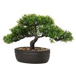 Hollyone 9" Artificial Bonsai Tree Fake Bonsai Tree Indoor Plant, Japanese Bonsai Decoration Faux Podocarpus Plants Artificial Plants Indoor Bonsai Tree for Home Décor, Desk, Table, Windowsill, Office