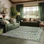 5x7 Area Rugs Washable Rugs for Liv