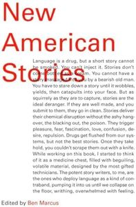 New American Stories (Vintage Contemporaries)
