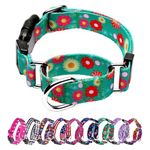 Martingale Collar for Dogs, Adjustable Soft Nylon Dog Collars with Special Design Cute Patterns for Small Medium Large Dog