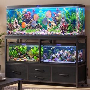 Heybly 55-