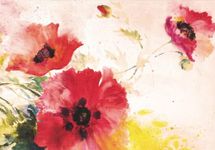 Watercolor Poppies Note Cards (Stationery, Boxed Cards)