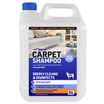 AIRSENZ Professional Carpet Shampoo - Low Foaming Extraction Formula Suitable For All Carpet Cleaning Machines (Fresh Linen, 5L)