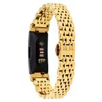 TenCloud Straps Compatible with Fitbit Inspire 2 Strap, Metal Stainless Steel Adjustable Replacement Business Wristband Band Watch Accessory for Inspire 2 Fitness Tracker Only (Gold)