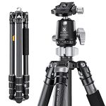 K&F CONCEPT X-Series 68 inch/172cm Carbon Fiber Camera Tripod,Professional Photography Tripod with 36mm Metal Ball Head Load Capacity 16KG/35.2lbs for Indoor Outdoor Use X284C4+BH-36