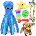 Toys For Small Dogs