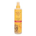 Burt's Bees Soothing Hot Spot Spray, 10-Ounce