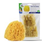 Baby Buddy Natural Baby Bath Sponge 4” Soft Grass Sea Sponge Soft on Baby’s Tender Skin, Biodegradable, Hypoallergenic, Absorbent Natural Sea Sponge, 2 Pack