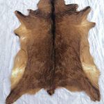 Red Deer Hide Rug Deer Skin Rug Deer Taxidermy Fireplace Deerskin Decor Reindeer Hide Area Rug Animals Mat Carpet for Home, Office, Bedroom Taxidermy Hunting Collectable 3.2x2.1ft