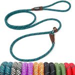 Fida Durable Slip Lead Dog Leash, 6 FT x 3/8" Heavy Duty Dog Loop Leash, Comfortable Strong Rope Slip Leash for Small Dogs and Puppies, No Pull Pet Training Leash with Highly Reflective(3/8", Blue)