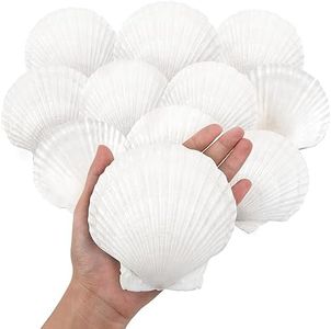 10PCS Large Natural Scallop Shells, 4''-5'' Large Shell for Crafts, DIY Painting, Baking and Beach Wedding Decorations - Large White Seashells Bulk for Ocean Themed Parties and Home Decor