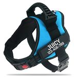 Personalized No Pull Dog Harness with Custom Name and Phone Number by PawPawify, Heavy Duty Pet Vest to Prevent Tugging, Pulling, or Choking, Training and Walking