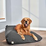 SleepyCat Original Dog Shredded Foam Bed, Splash Resistant (36X26 Inches, Grey, Medium)
