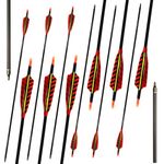 Hosolee 12 Pack Archery 500 Spine Carbon Arrows with Real Feathers and Removable Tips for Targeting Hunting Practice (29 Inch)