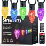 Minetom Smart C9 Christmas Lights O