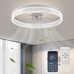 Fszdorj 20‘’ Ceiling Fan with Light