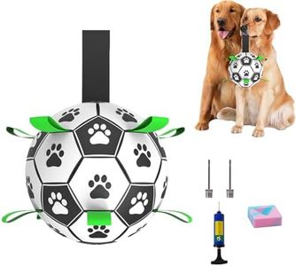 Dog Balls 