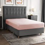 Silentnight Pure Cotton Fitted Sheet ? Blush, Single