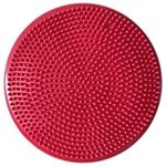AppleRound Inflated Wobble Cushion 