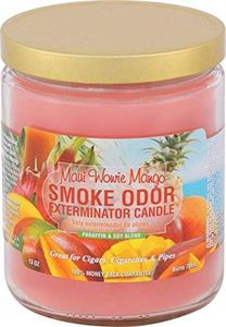 Smoke Odor