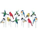 Collections Etc Colorful Bird Decor