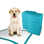 TBM Puppy Pads Large Size Pack of 50 60 x 60 Super Absorbent Puppy Training Pads Anti Slip Dog training pads - No Leaking Quick Dry Dog Pads