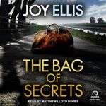 The Bag of Secrets: Detective Matt 