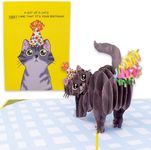 Dirty Pop Cards - Purr-fect Pop Up 