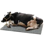 Anaya Retailers Cow Mat, Feeding Mat, Bpa Free, Easy Clean, Dishwasher Safe, Waterproof, Raised Edges, Mat For Cows, Buffalo, Bull, Rubber Mat For Animal (M-3999, Black)