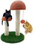 BNOSDM Mushroom Cat Scratching Post, Small Cat Scratcher with 2 Sisal Poles and Plush Ball Pet Interactive Toy Climbing Post for Indoor Kitten Small Cats (Coffee)