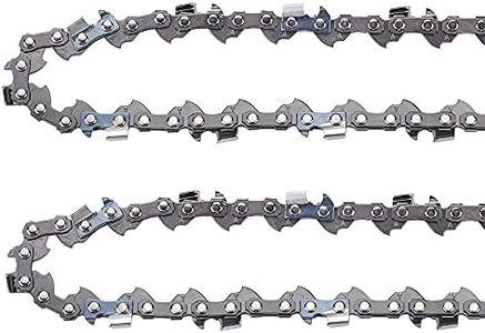 Anzac 8 Inch Pole Saw Chain for Ryobi Homelite 901289001 Ryobi RY43160 RY43161 Pole Saw 30254EG UT-43160 3/8" LP Pitch .043" Gauge 34DL Chain Semi Chisel 2 Pack